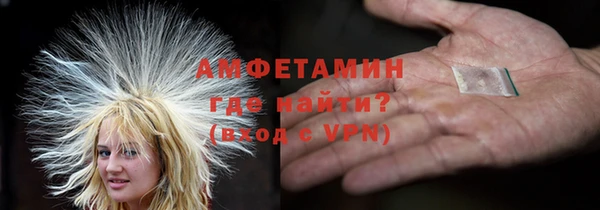 молекула духа Пересвет