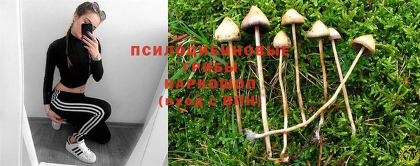 молекула духа Абдулино