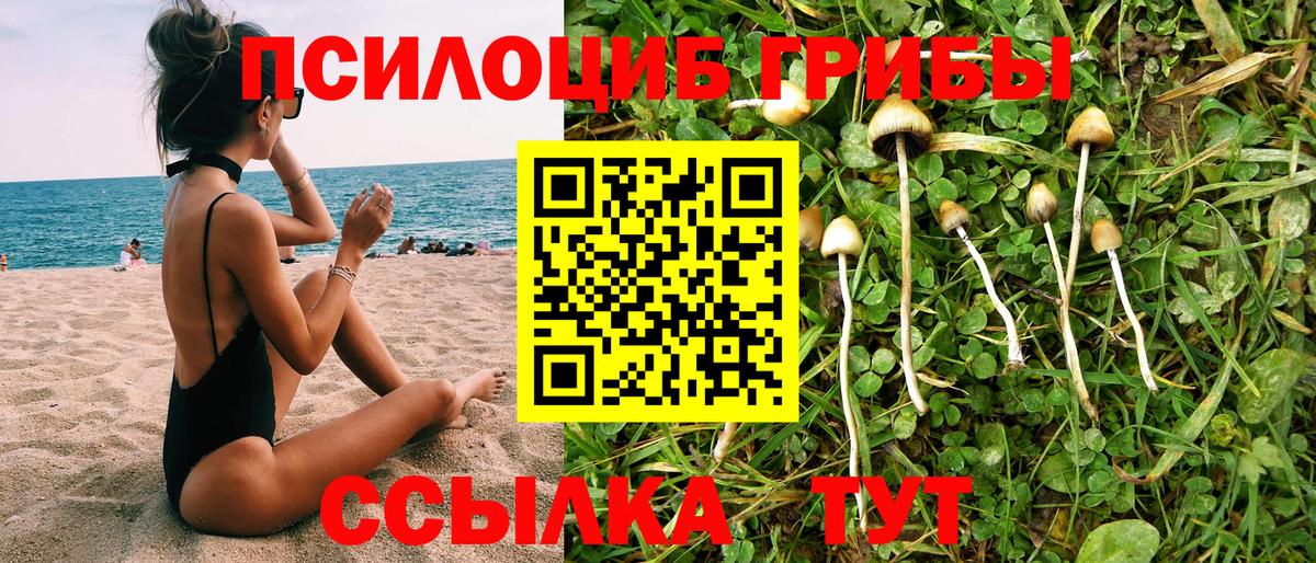 Галлюциногенные грибы Magic Shrooms Рославль