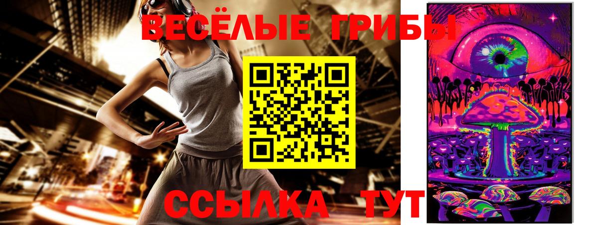 Рославль  Галлюциногенные грибы прущие грибы  Вход с VPN  Псилоцибиновые грибы Psilocybine cubensis 